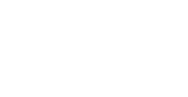 Das Projekt wurde erfogreich im Dez. 2020 abgeschlossen