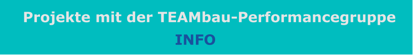 Projekte mit der TEAMbau-Performancegruppe INFO