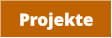Projekte